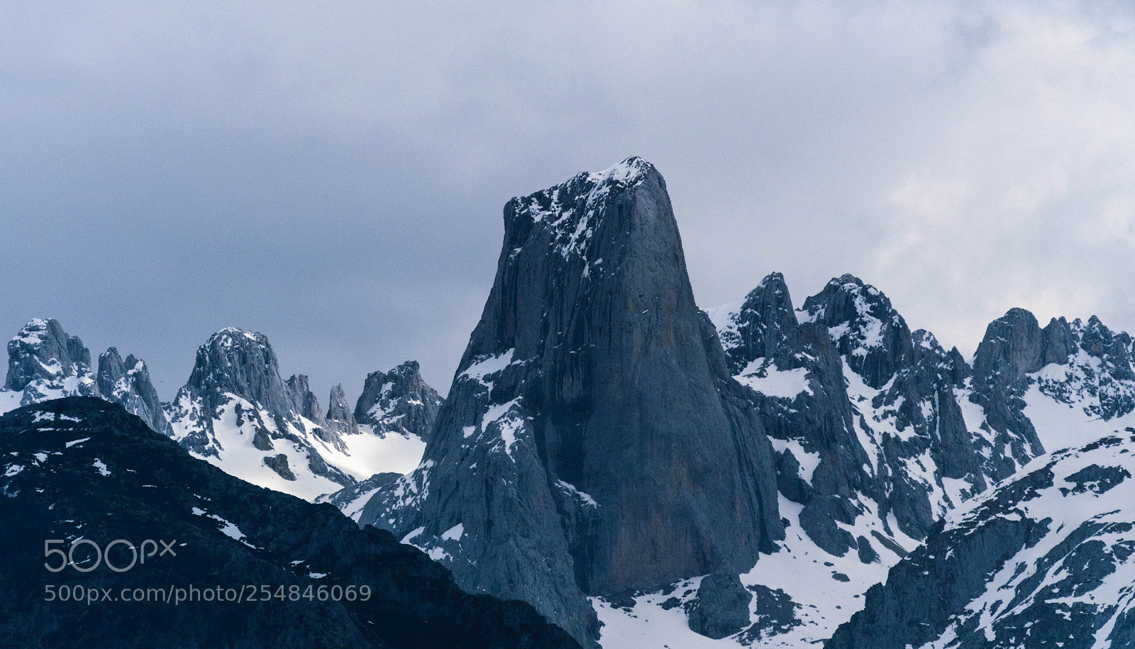 Nikon D5300 sample photo. Picu urriellu o naranjo photography
