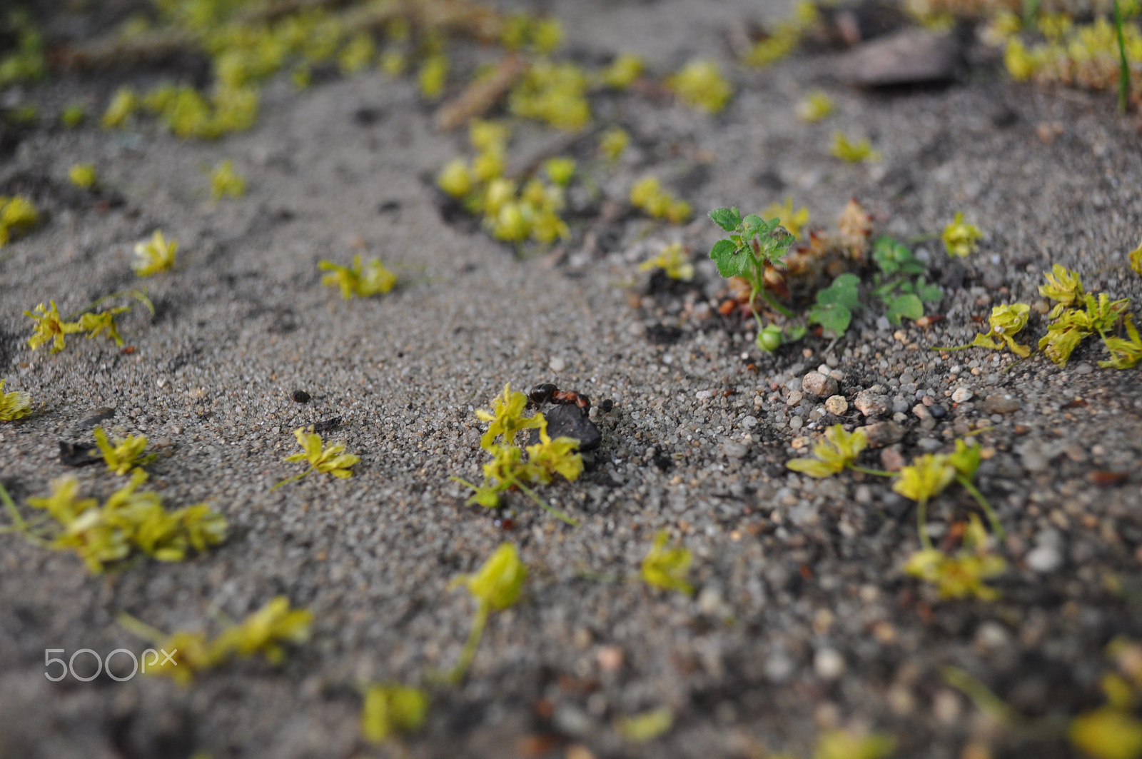 Nikon D90 sample photo. Got work to do photography