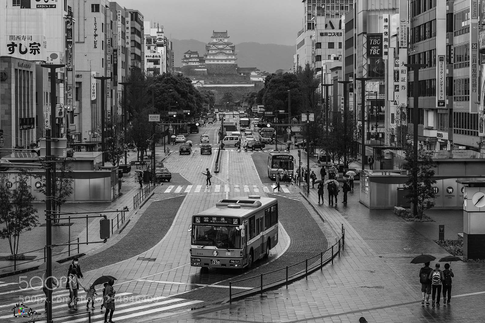 Canon EOS 5D Mark IV sample photo. 人家的姬路城都粉粉的 而我的姬路城都黑黑的 photography