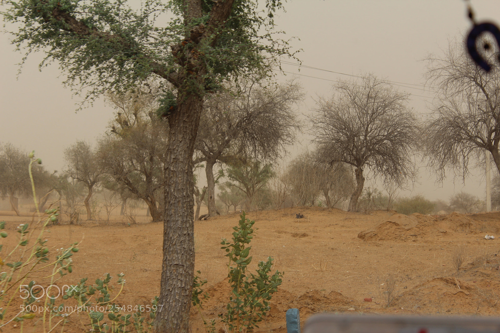 Canon EOS 1200D (EOS Rebel T5 / EOS Kiss X70 / EOS Hi) sample photo. A trip to rajasthan photography