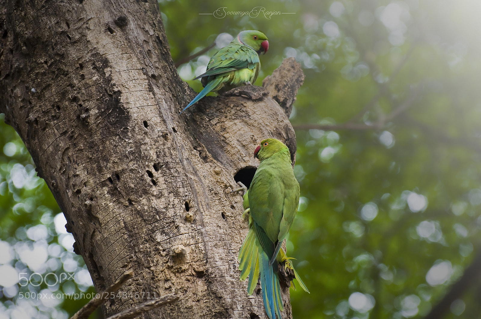 Nikon D90 sample photo. ... photography