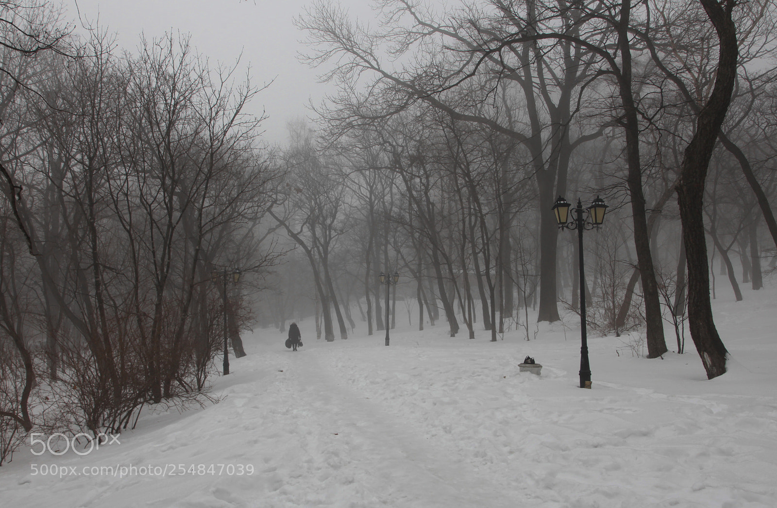 Canon EOS 5D Mark II sample photo. *** photography