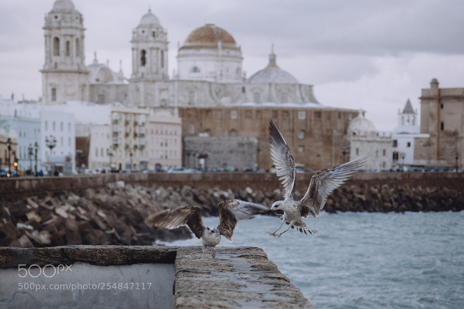 Canon EOS 5D Mark II sample photo. Cadiz photography
