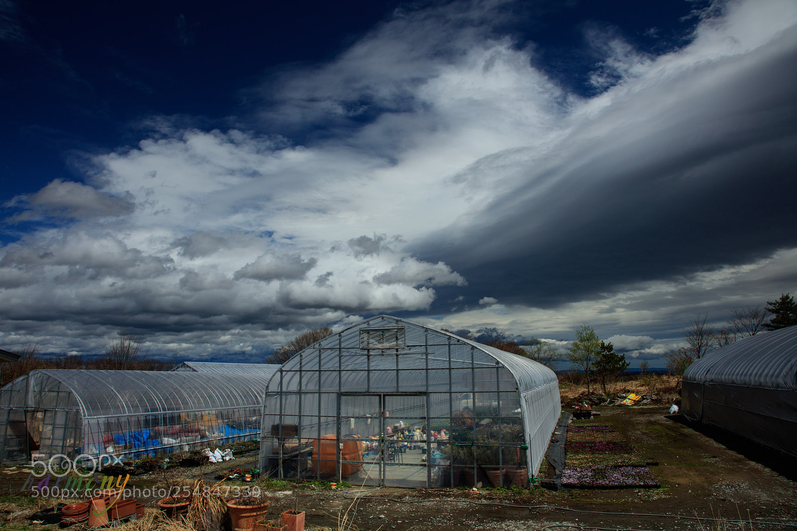 Canon EOS 5DS sample photo. Plant house at highland photography