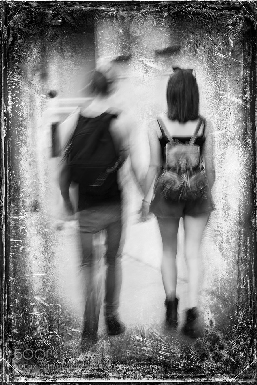Nikon D5 sample photo. Come ! photography