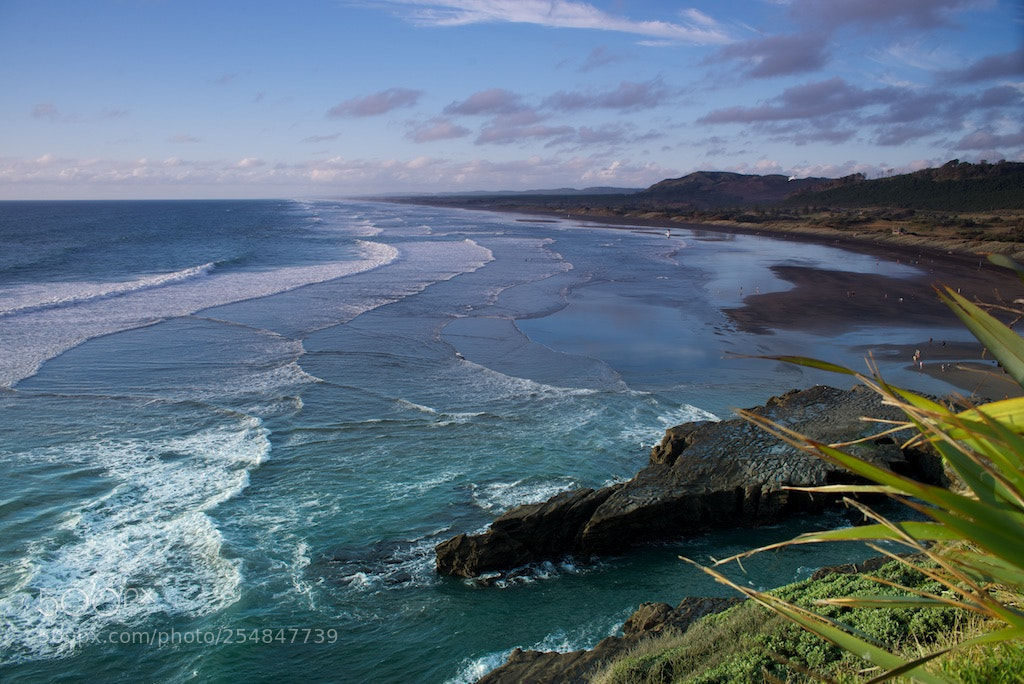 Nikon D600 sample photo. Muriwai beach north photography