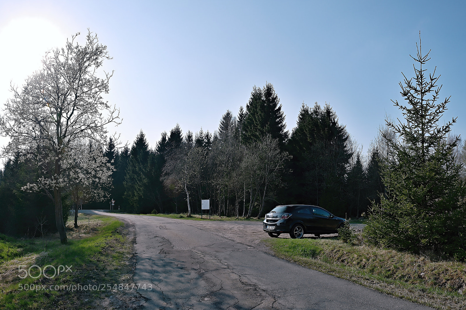 Nikon D5300 sample photo. Neue welt, germany photography