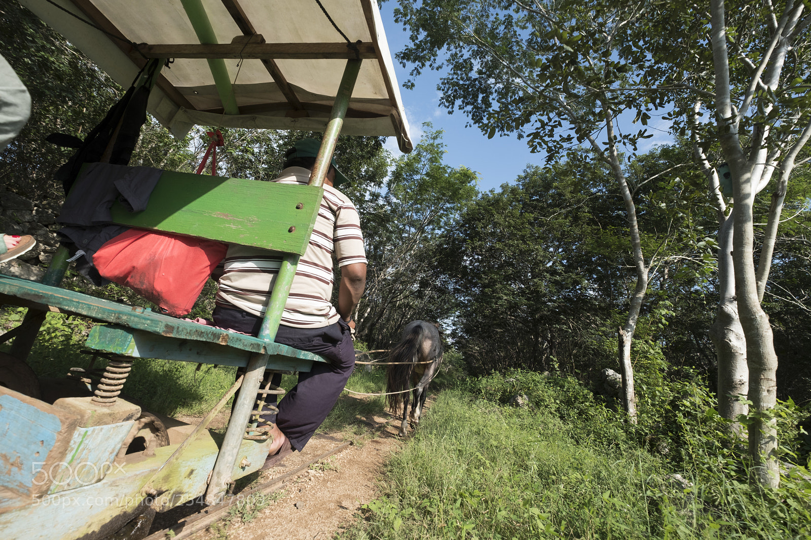 Fujifilm X-T2 sample photo. Traditional transport to chunkanan photography