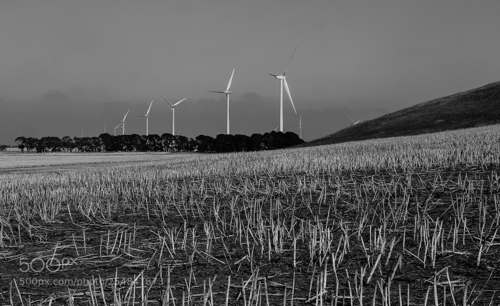 Olympus OM-D E-M1 sample photo. Wind turbines in the photography