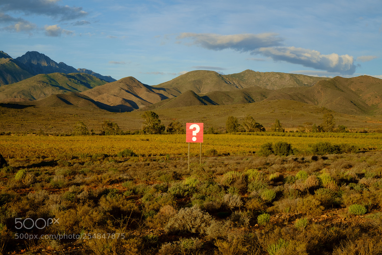 Fujifilm X-E1 sample photo. The question photography
