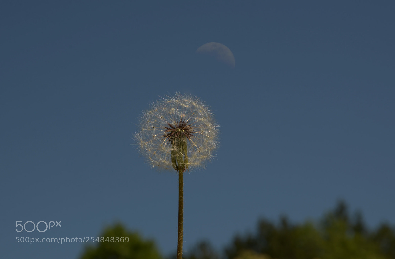 Nikon D7000 sample photo. Fly me to the photography
