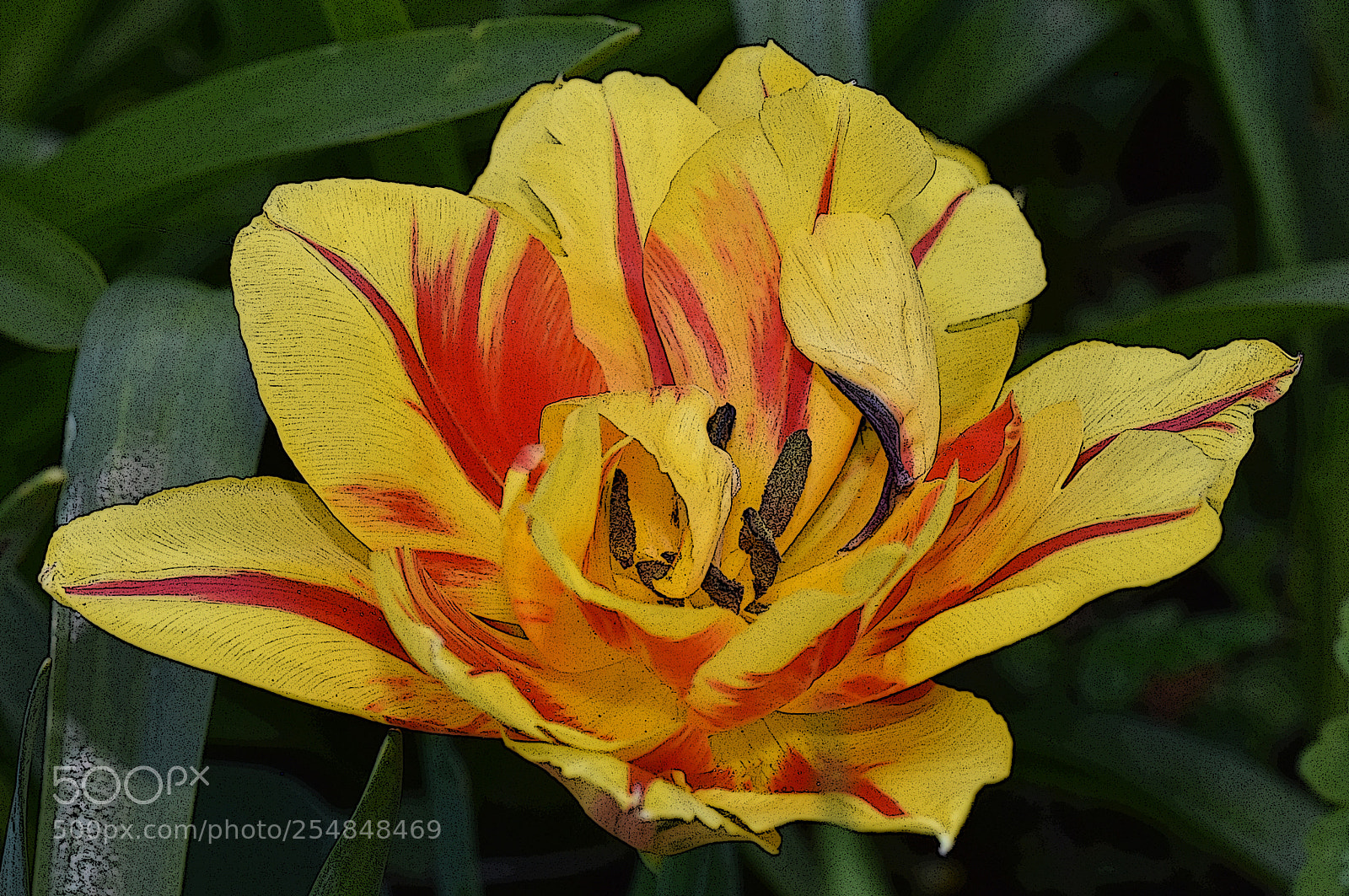 Nikon D7200 sample photo. Yellow with red photography