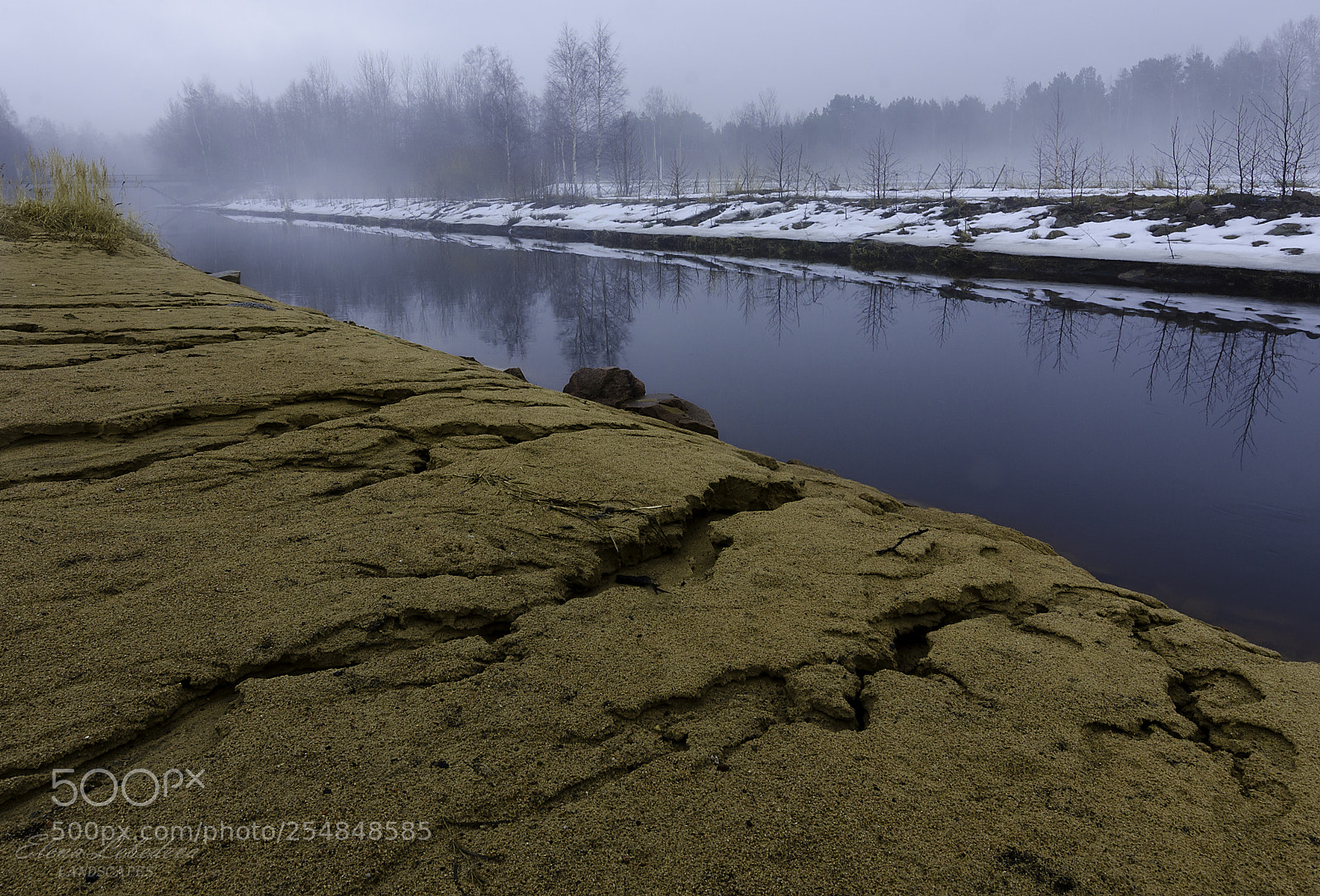 Nikon D7000 sample photo. Foggy morning in april photography