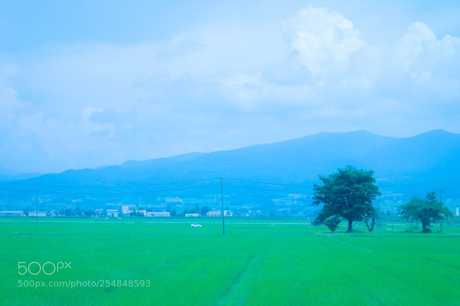 Canon EOS 70D sample photo. Grassland photography