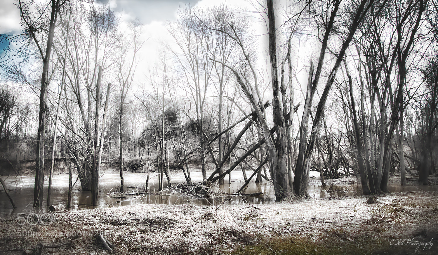 Canon EOS 650D (EOS Rebel T4i / EOS Kiss X6i) sample photo. Down by the river photography