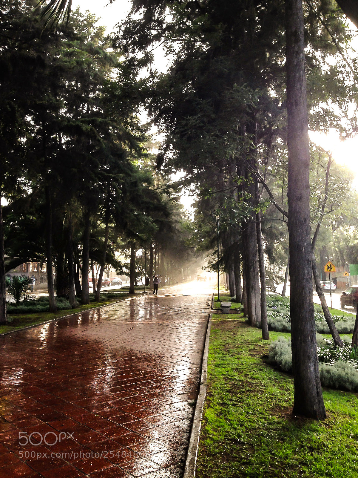 Apple iPhone 5 sample photo. Polanco side walk photography
