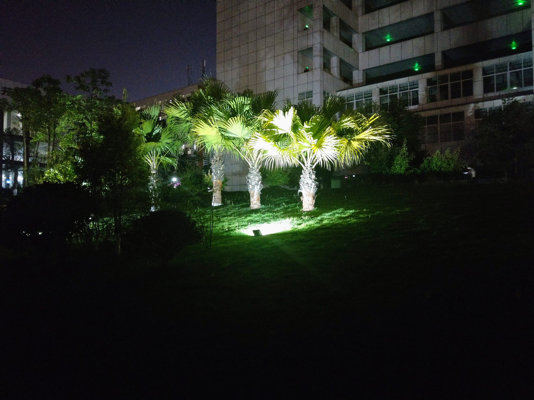 HTC U11 sample photo