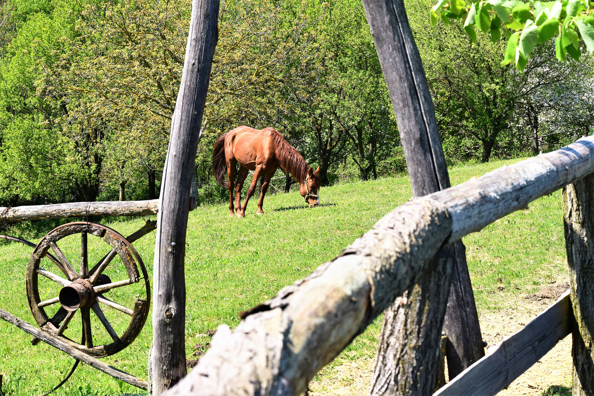 Nikon D3300 sample photo. Rural photography