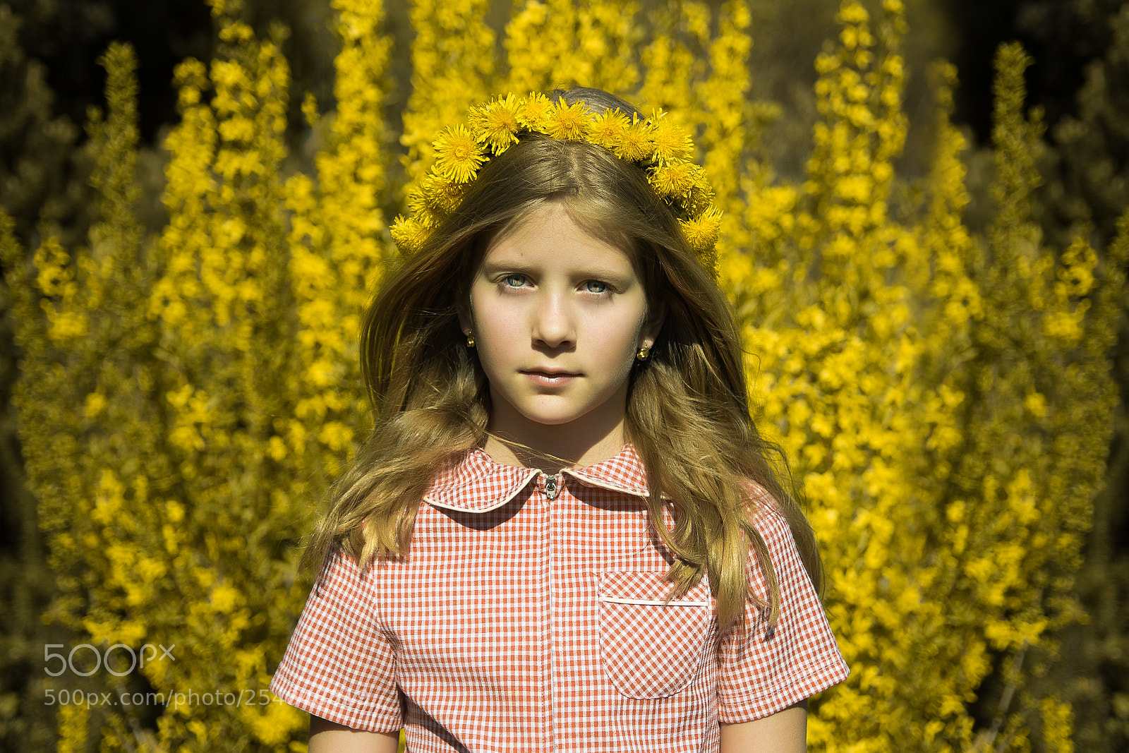 Nikon D810 sample photo. Spring photography