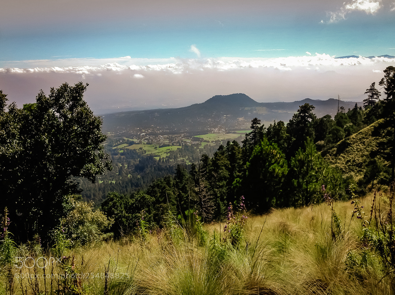 Apple iPhone 5 sample photo. Ajusco photography