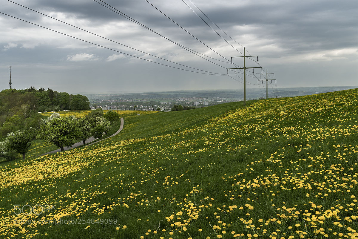 Sony a6300 sample photo. Achalmwiese mit l wenz photography
