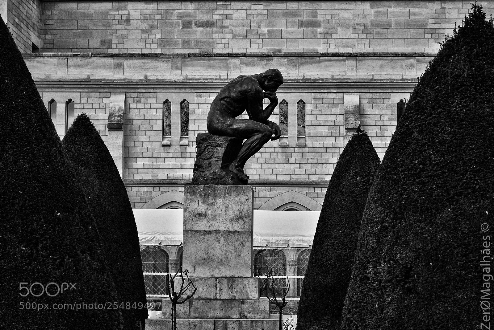 Nikon D3000 sample photo. Rodin photography