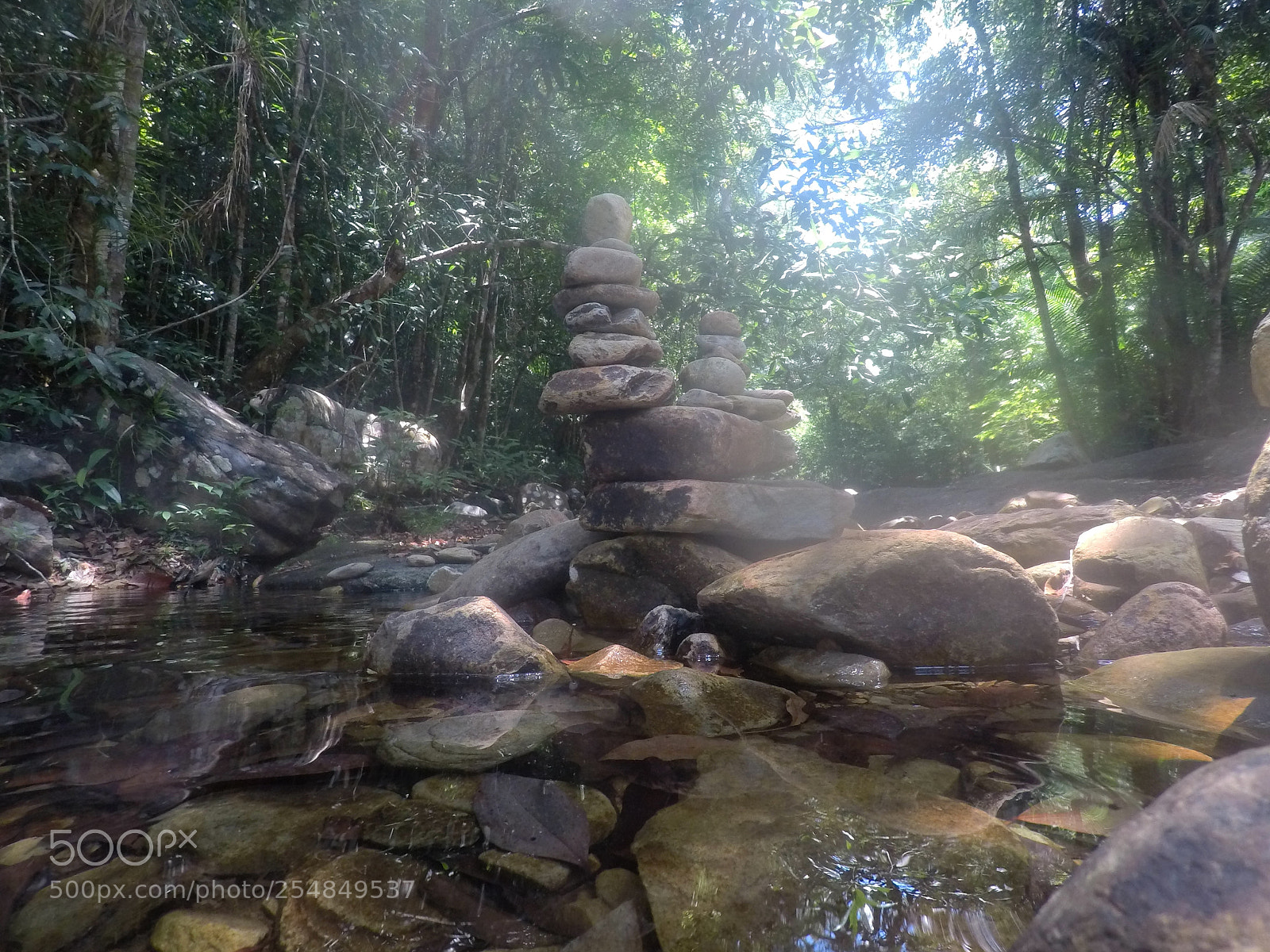 GoPro Hero5 Black sample photo. Art, animals and waterfalls photography