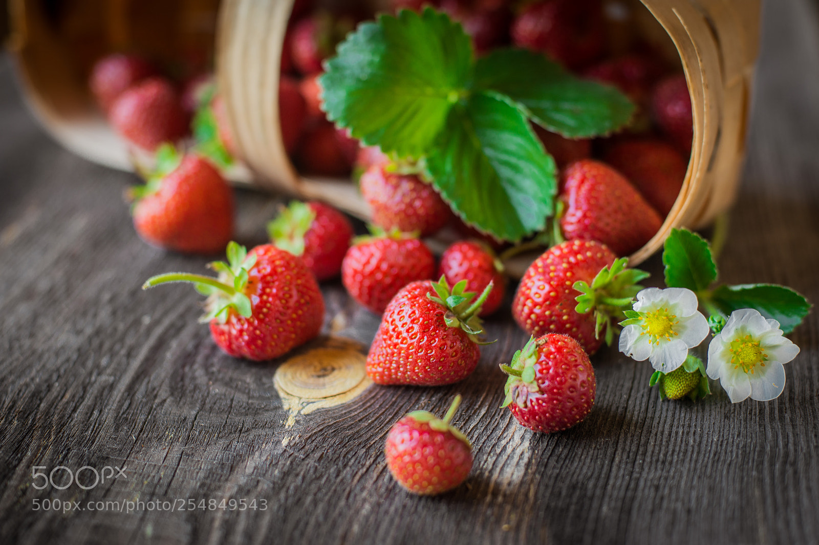 Nikon D800 sample photo. Strawberry is scattered from photography