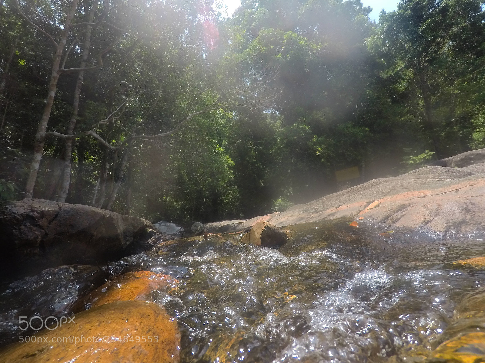 GoPro Hero5 Black sample photo. Art, animals and waterfalls photography