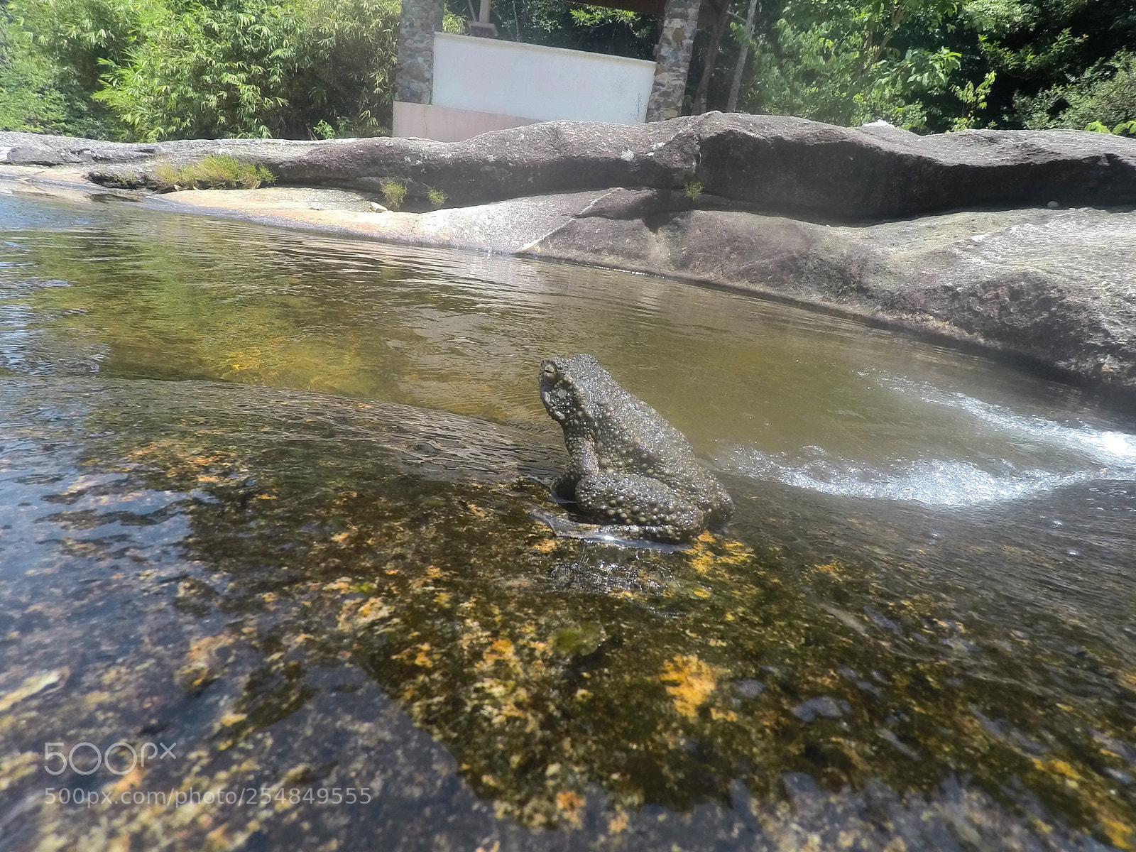 GoPro Hero5 Black sample photo. Art, animals and waterfalls photography