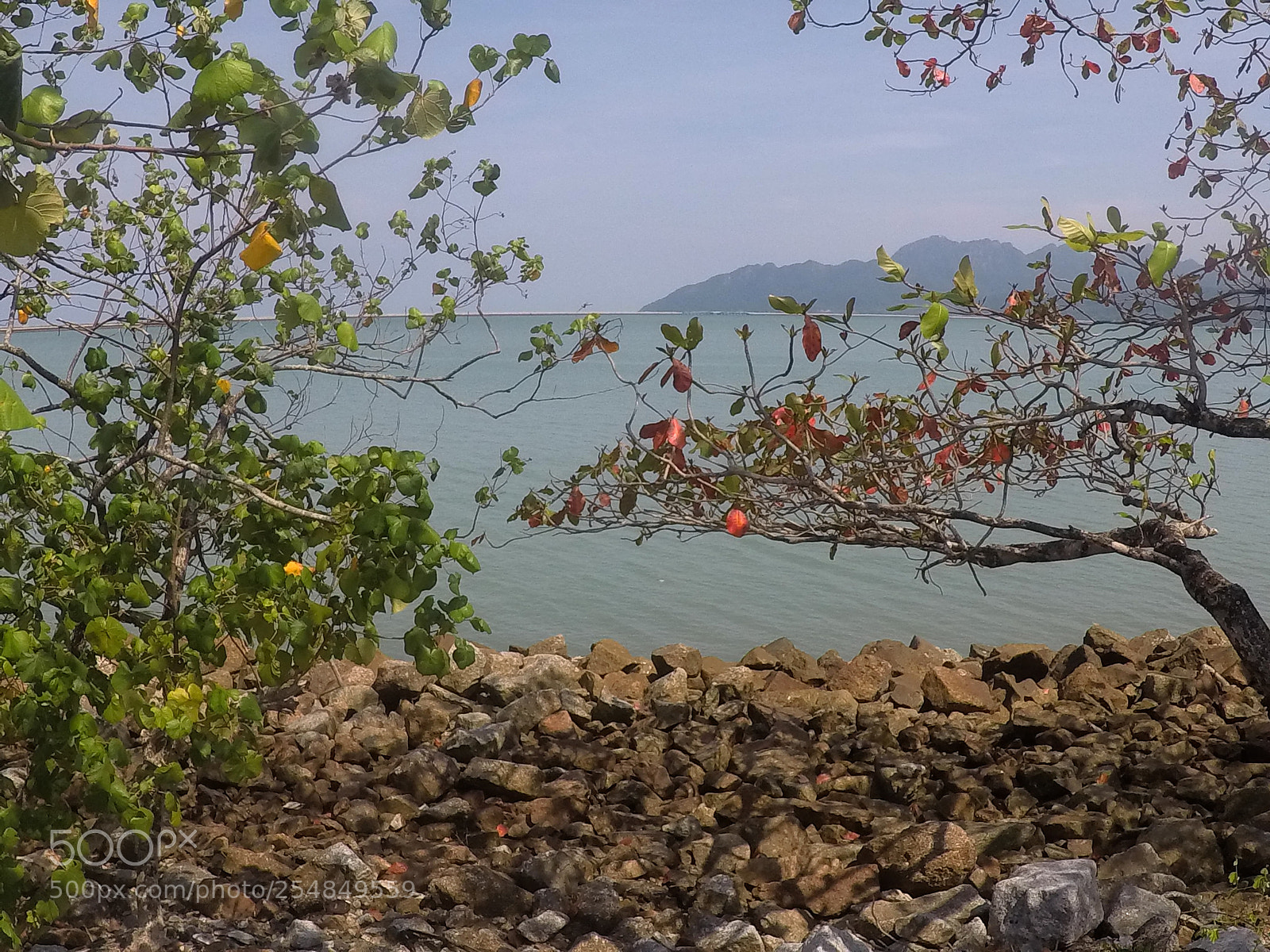 GoPro Hero5 Black sample photo. Art, animals and waterfalls photography
