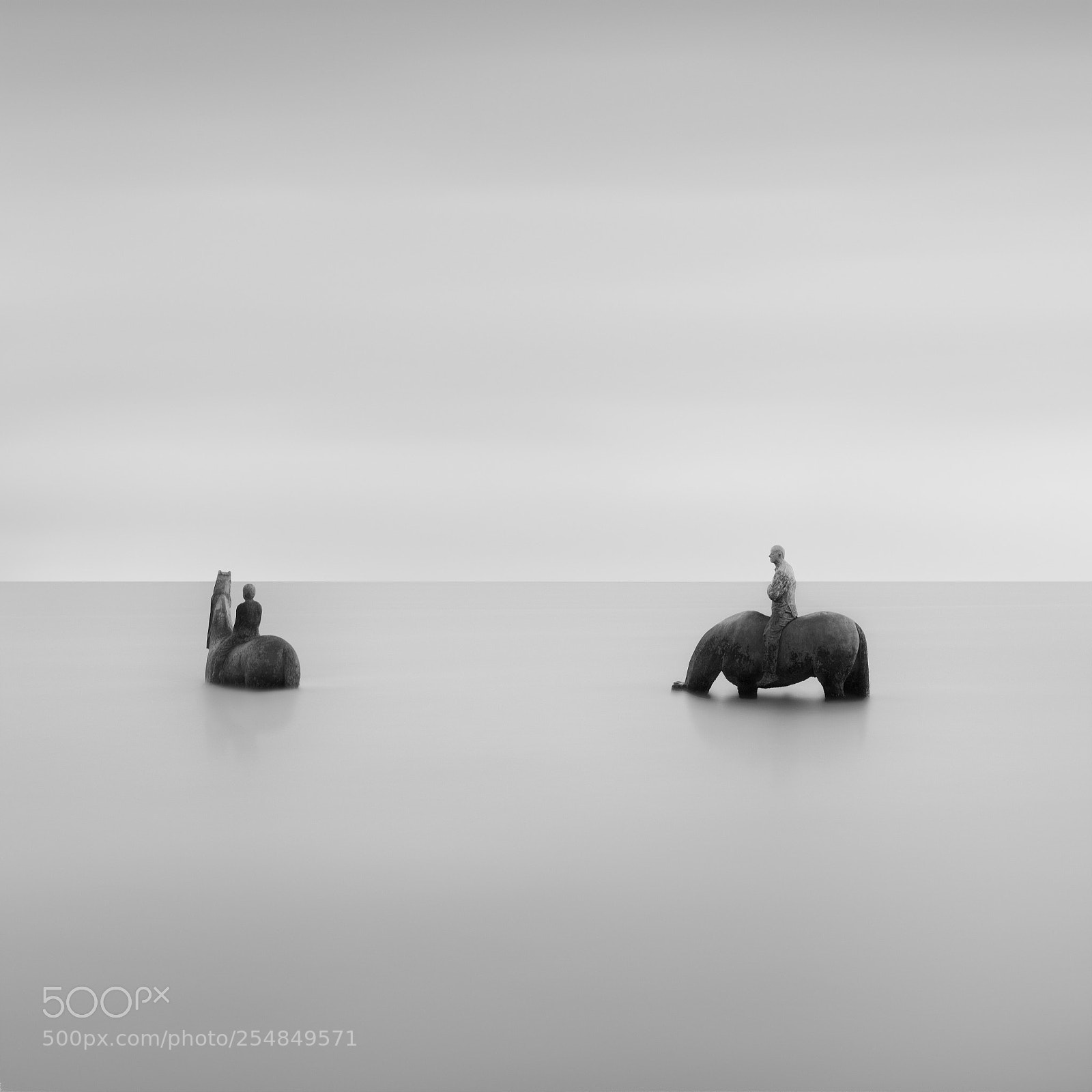 Canon EOS 5D Mark II sample photo. Water horses photography
