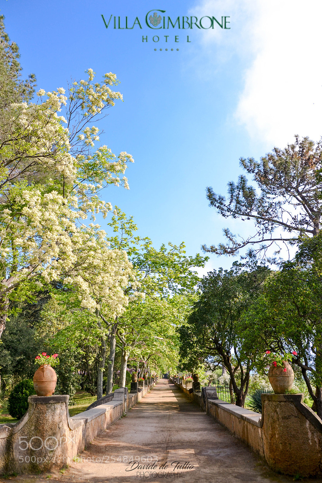 Nikon D3100 sample photo. Villa cimbrone photography