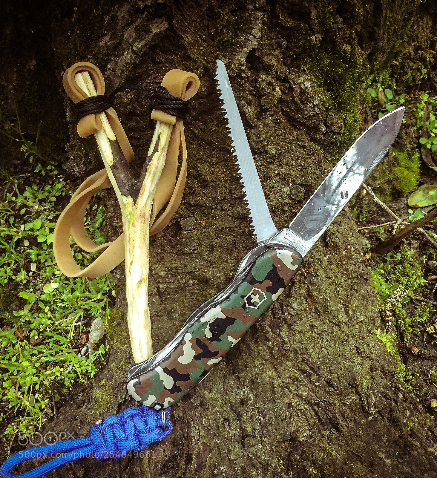 Apple iPhone 6 sample photo. Slingshot photography