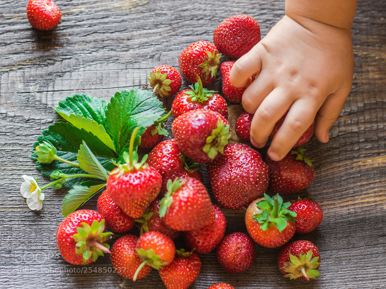 Nikon D800 sample photo. Strawberry is scattered from photography