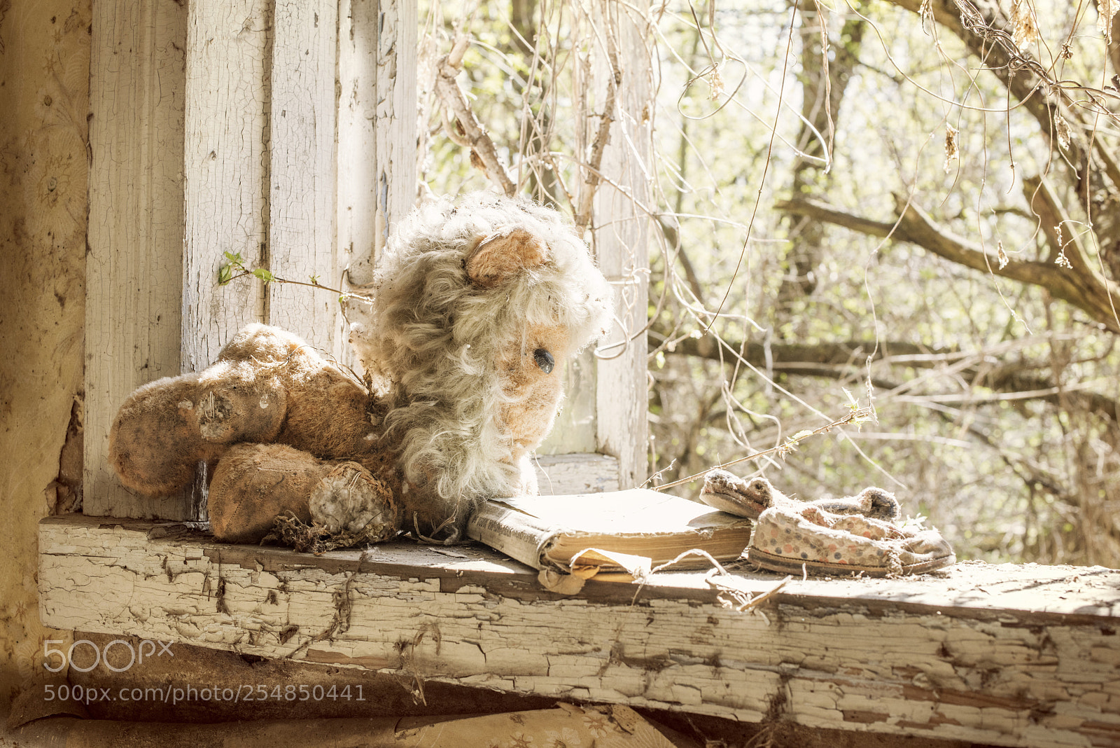 Nikon D810 sample photo. Toys on a window photography