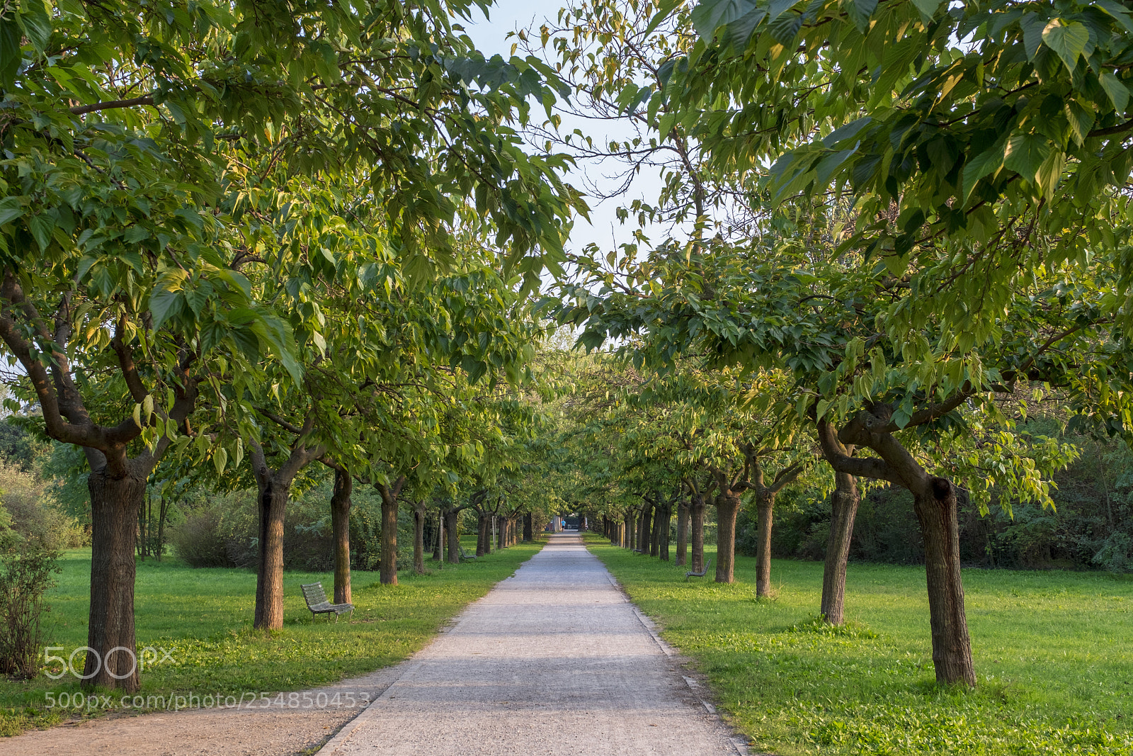 Fujifilm X-T2 sample photo. Parco nord in milan photography