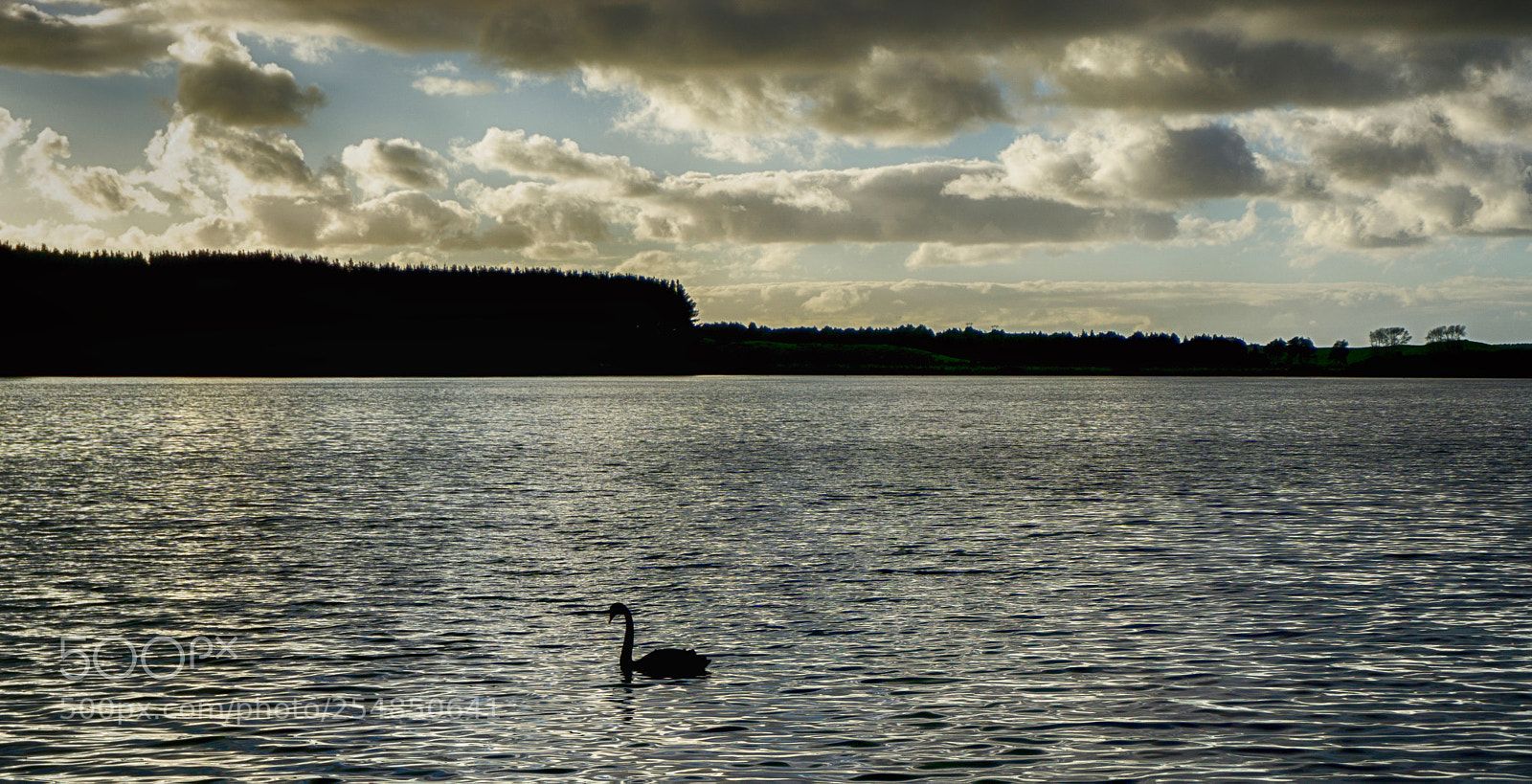 Sony a6000 sample photo. Riding the ripples photography