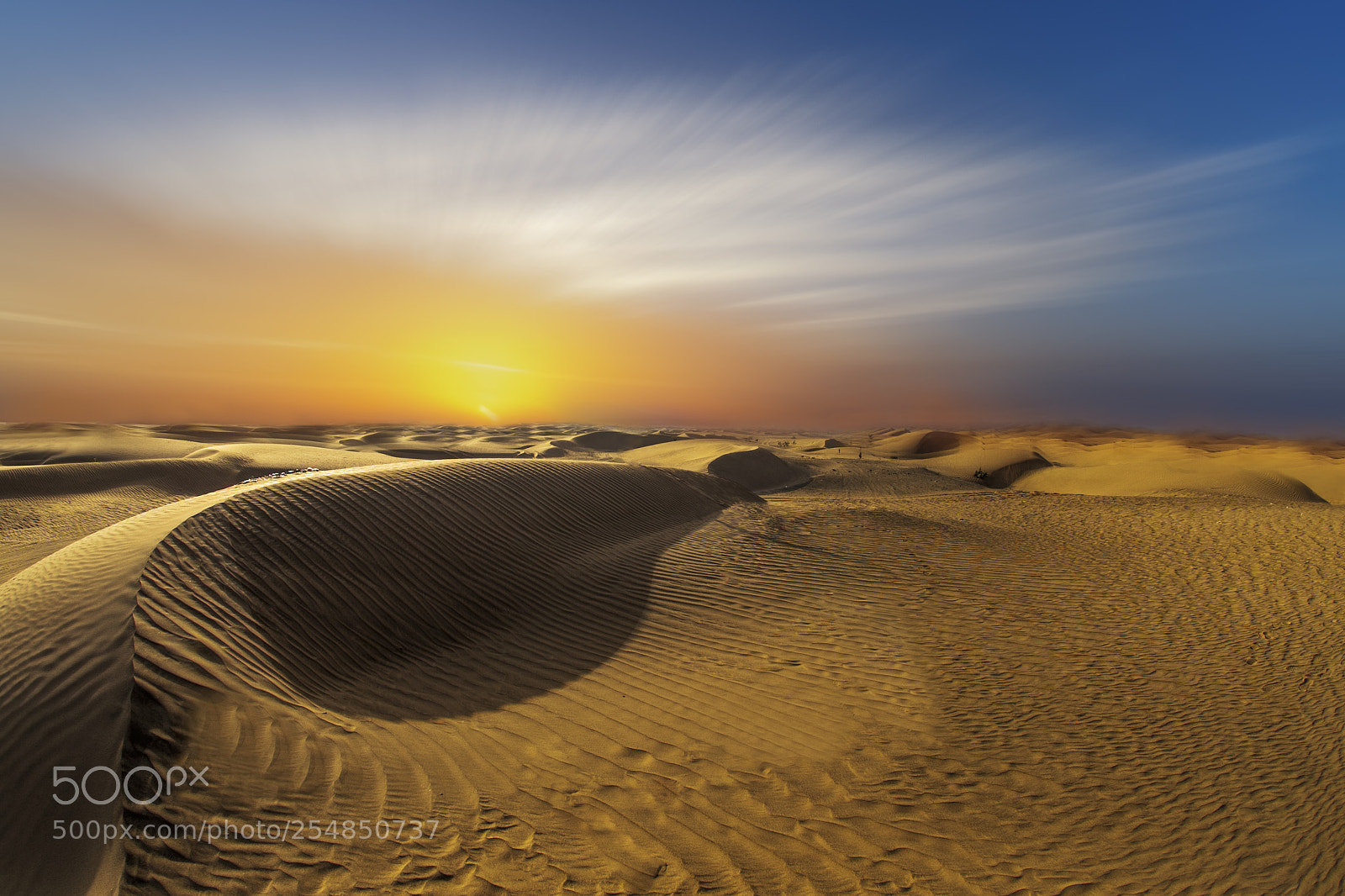 Nikon D610 sample photo. Golden desert photography