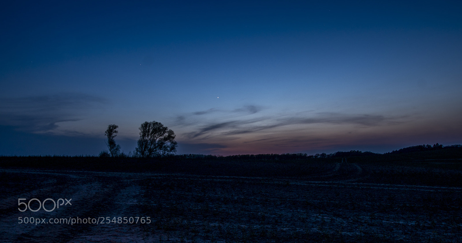 Sony a99 II sample photo. Dsc photography