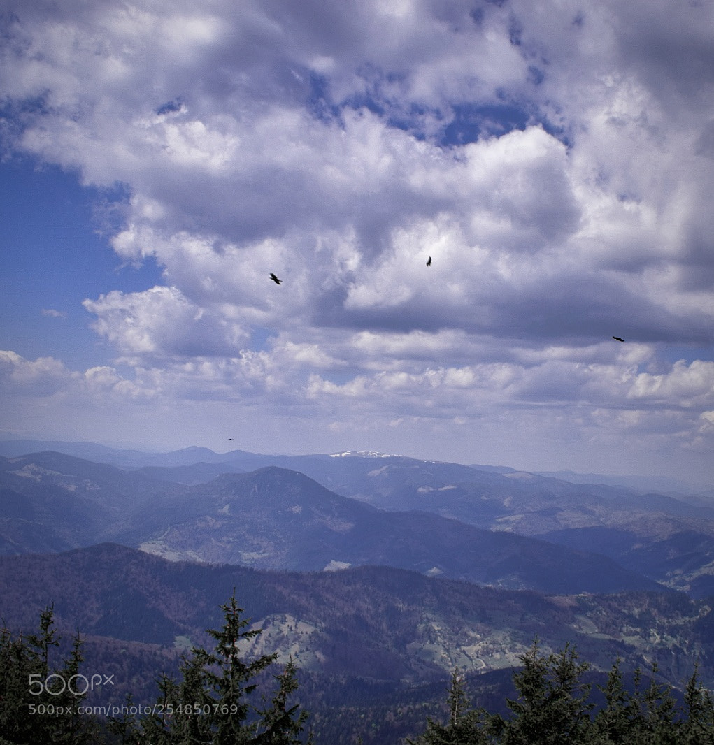 Nikon D5300 sample photo. Untitled photography