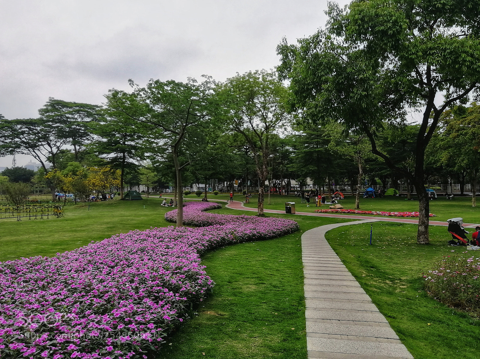 HUAWEI Honor 9 sample photo. Park photography