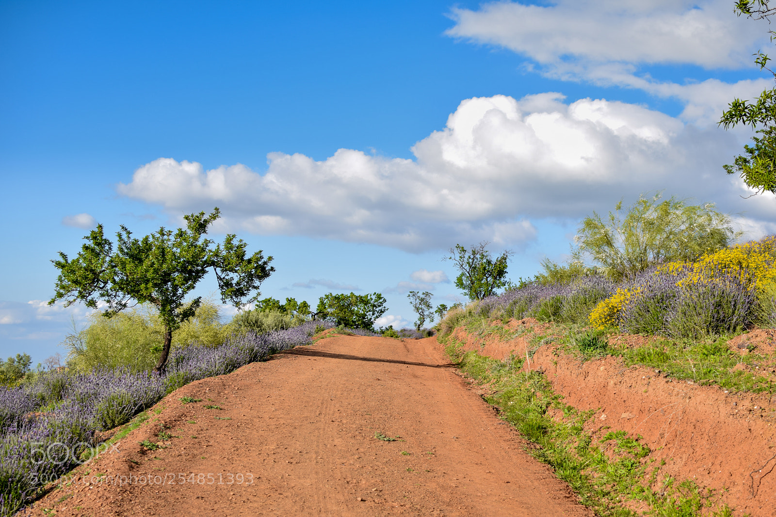 Nikon D3300 sample photo. Paysage nature photography
