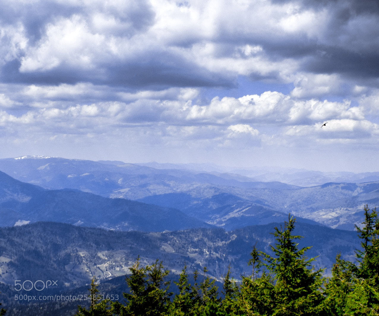 Nikon D5300 sample photo. Untitled photography