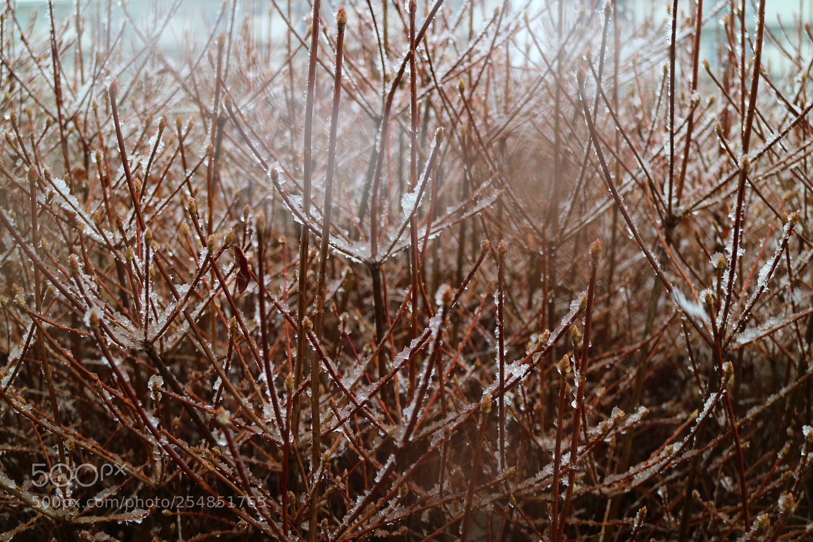 Canon EOS M3 sample photo. On snowing day photography