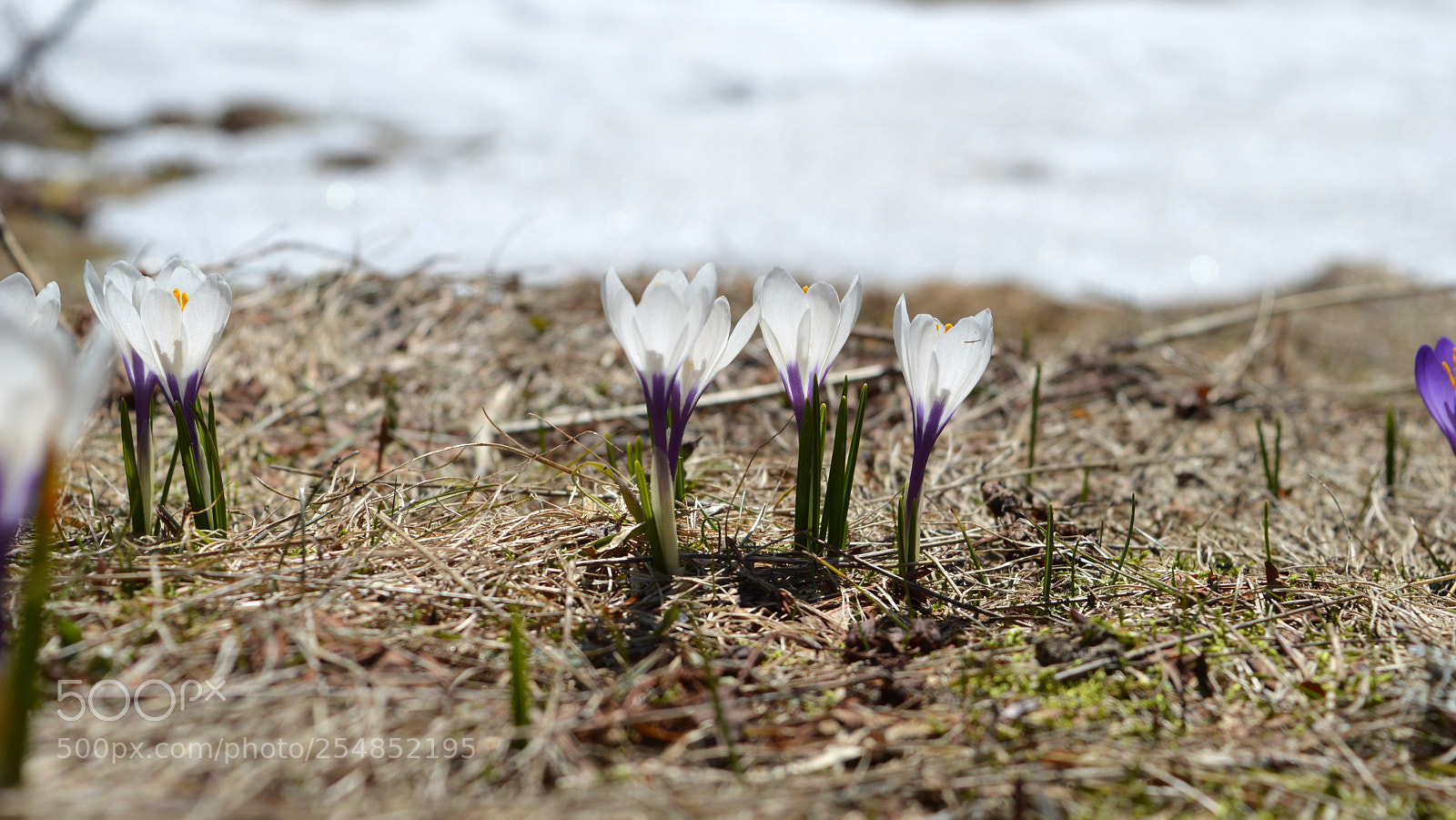 Nikon D3200 sample photo. G photography