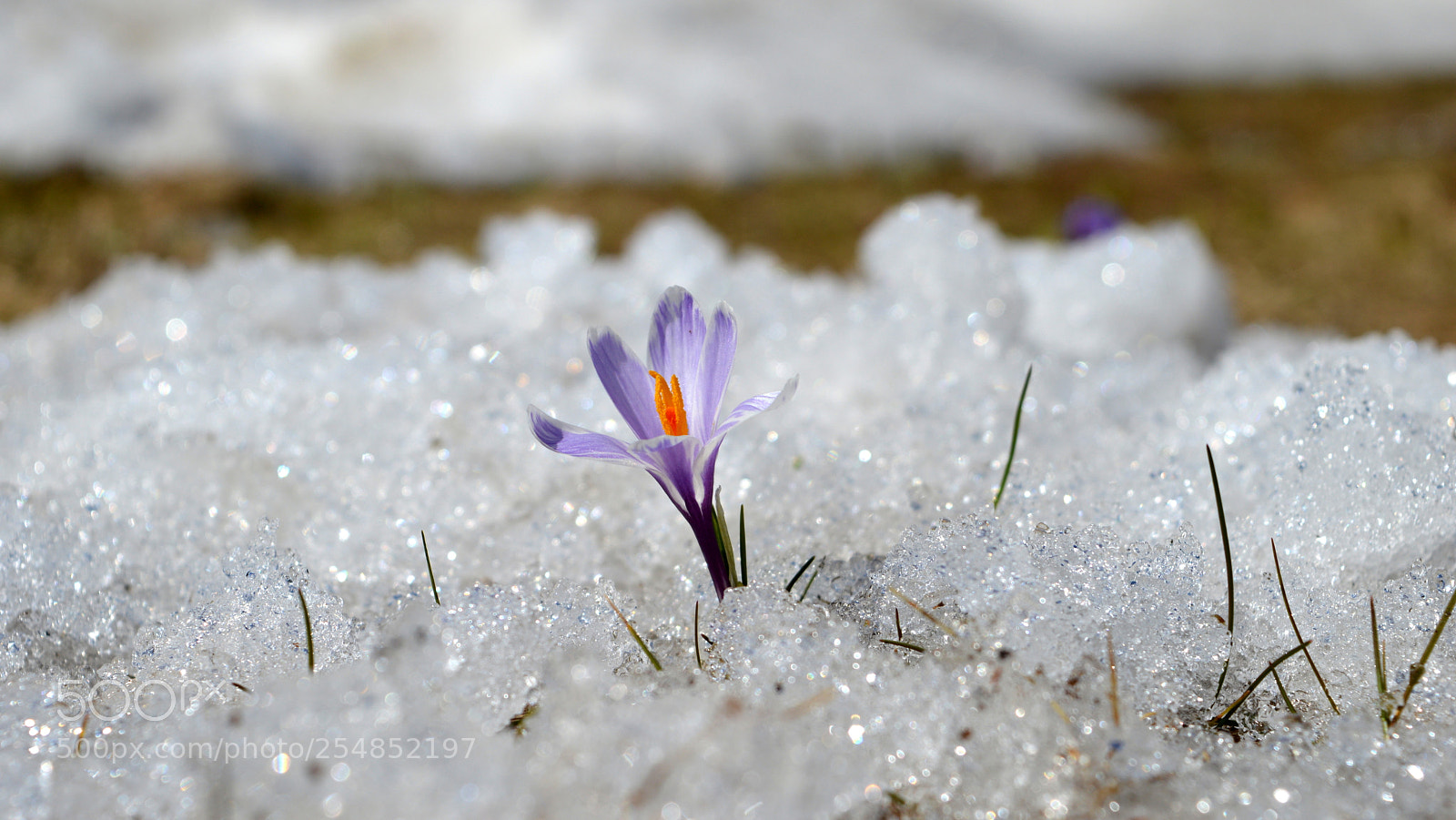 Nikon D3200 sample photo. H photography
