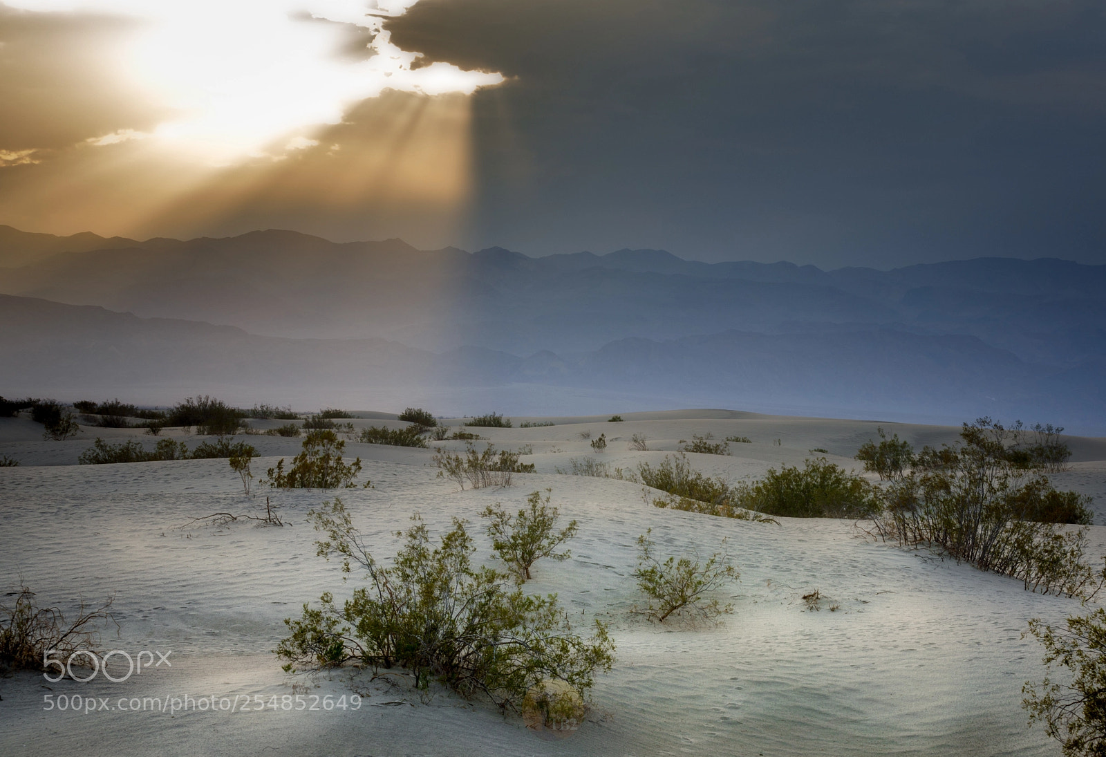 Canon EOS 5D Mark IV sample photo. Earth day at death photography