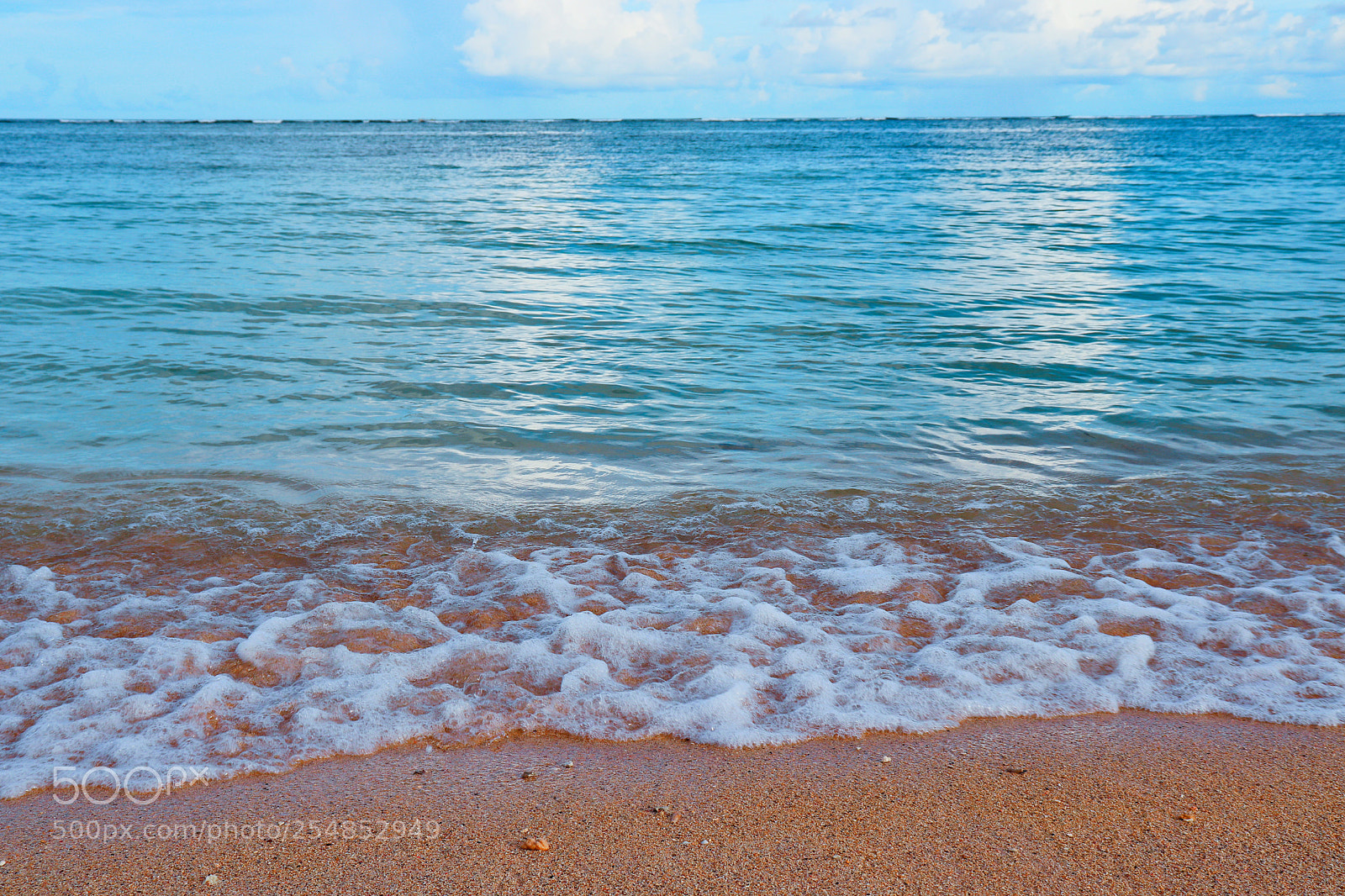 Canon EOS 77D (EOS 9000D / EOS 770D) sample photo. Untitled photography