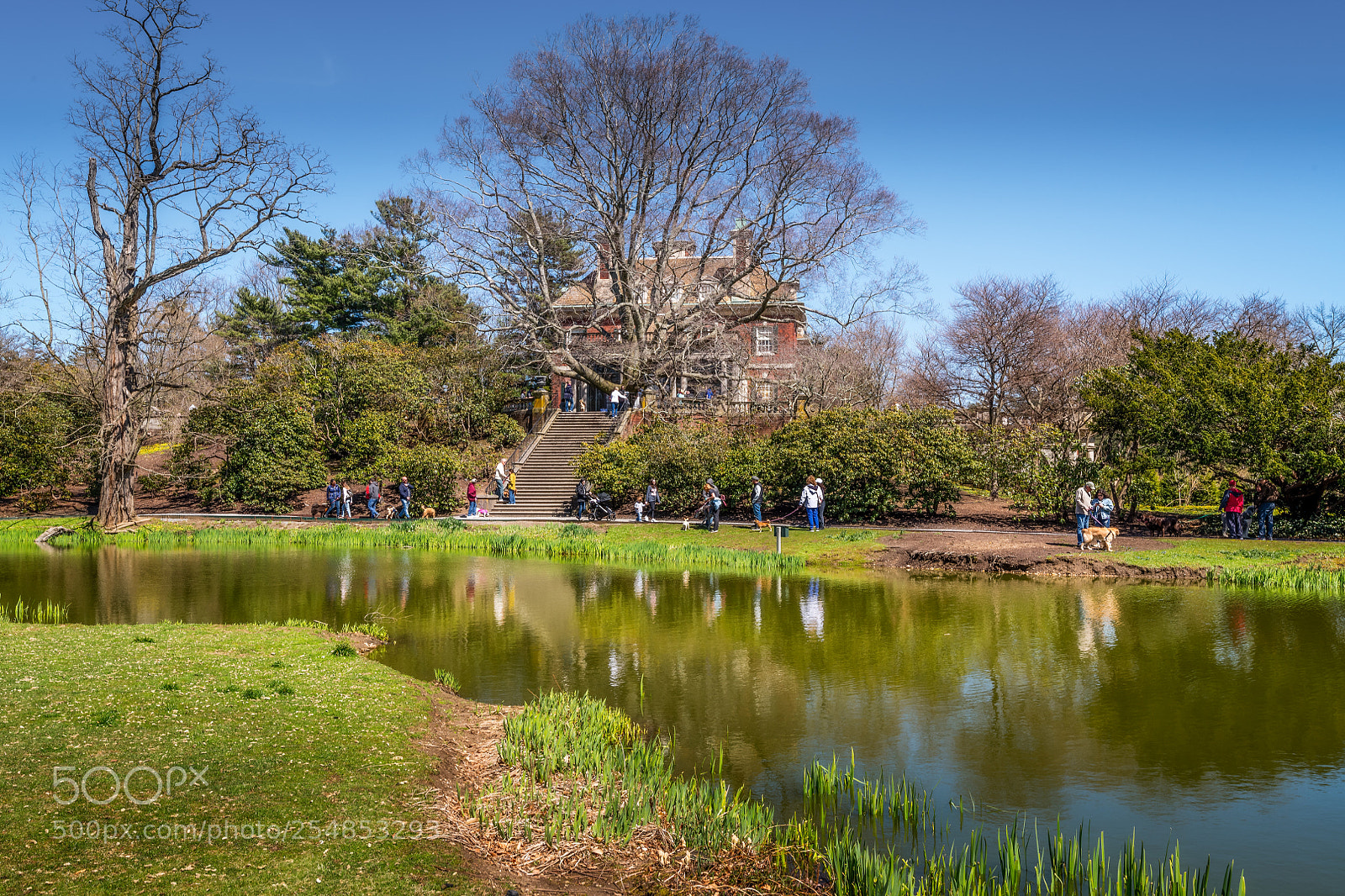 Nikon D850 sample photo. A walk in the photography